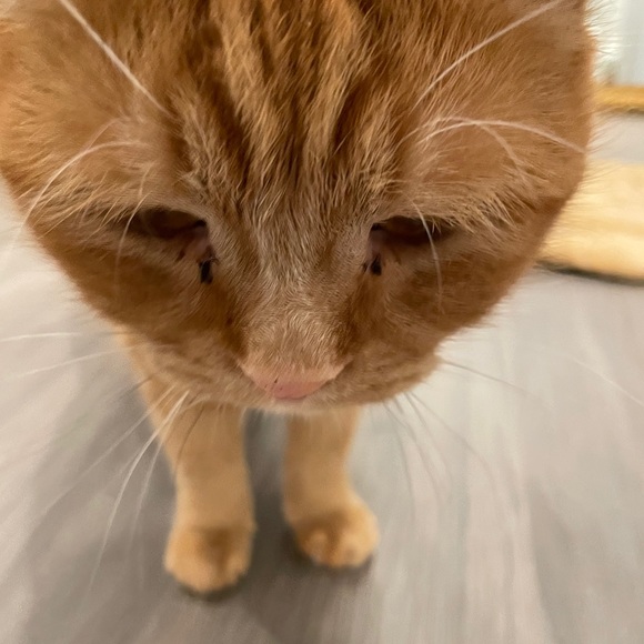 Meet your Posher, 珺茹 - Picture 1 of 1